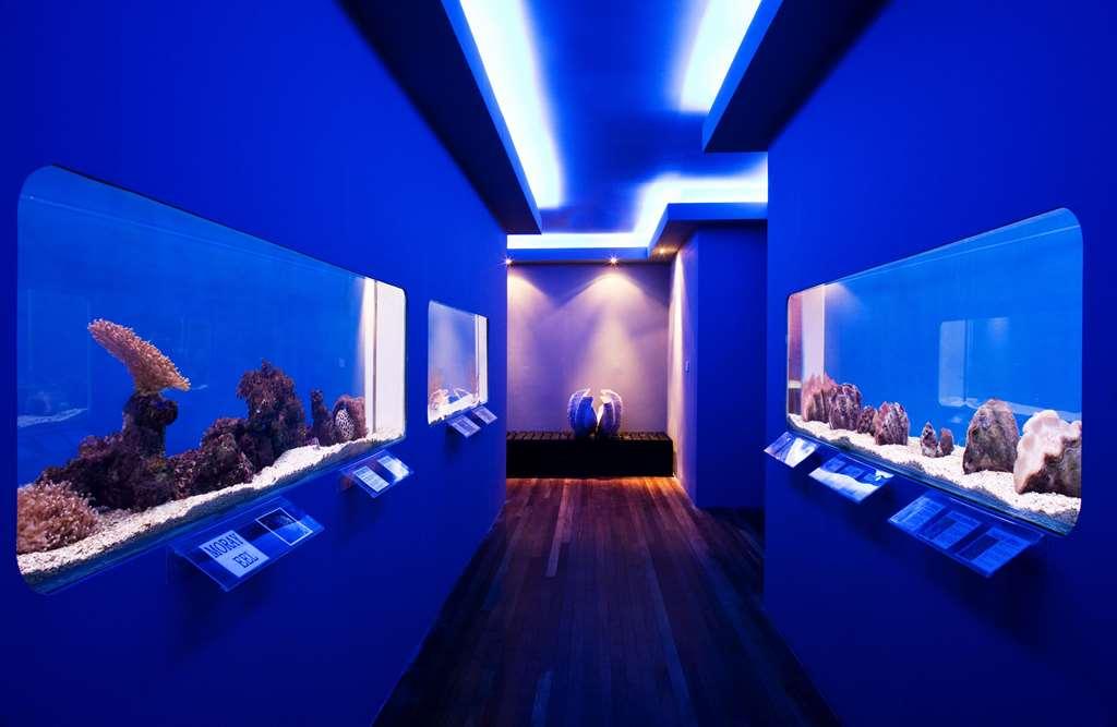 Gayana Marine 5* Gaya Island
